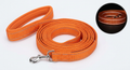 Reflective Dog Leash